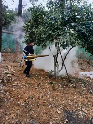 木括源灭四害 汉口白蚁防治中心