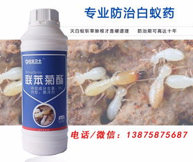 怎样彻底消灭蟑螂 酒店有蟑螂怎么办 消灭蟑螂的办法