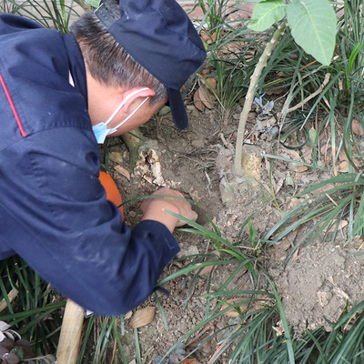 眉山广安商场白蚁防治电话 百户喜