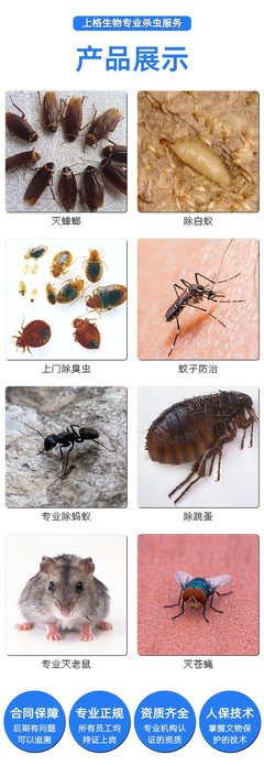 灭白蚁专家 厂区白蚁防治 智能化监测 挖巢清除 售后包治时间长