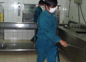 泉州老鼠防治 灭光老鼠