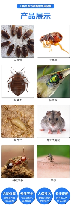 宁波浴场除跳蚤 宁波见效快的除虫 宁波灭白蚁要价格