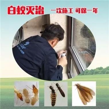 常熟市白蚁防治中心联系电话号码是多少.