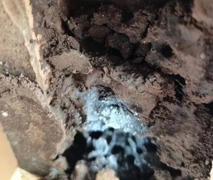 紧急提醒 多地爆发,浙江已经出现了......