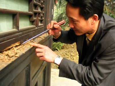 武汉灭白蚁 易泽生物防治