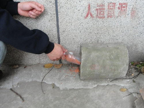 图 东莞除虫公司 杀蟑螂 灭老鼠 除白蚁 东莞保洁清洗 东莞列表网