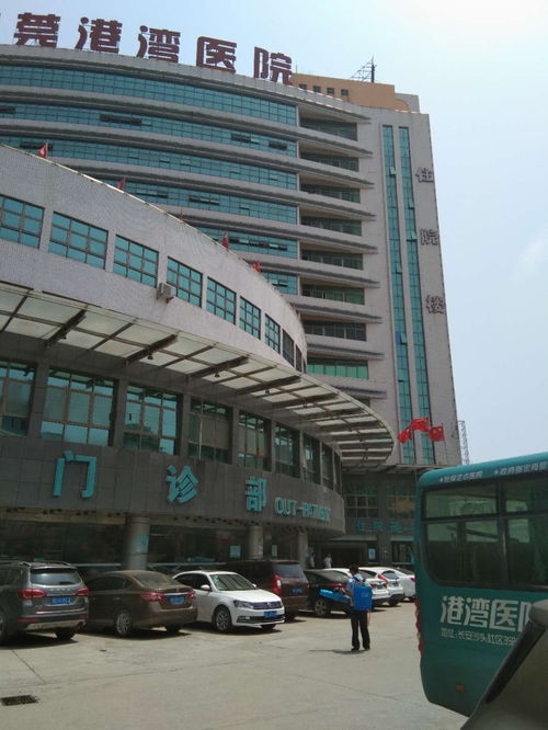 华富工厂白蚁预防收费价格