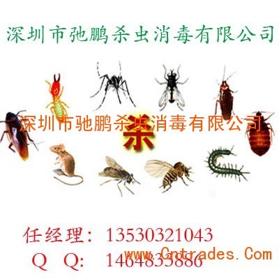 工厂白蚁防治,木质工厂白蚁防治,工厂白蚁防治报价