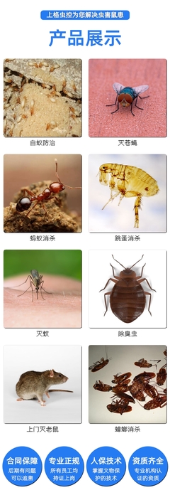 杭州超市消杀价格 别墅灭鼠服务 上格生物上门灭虫服务
