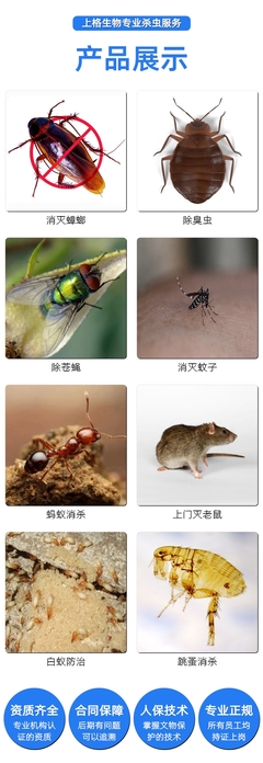 南通白蚁防治谁家好消白蚁杀害虫