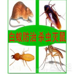 广州