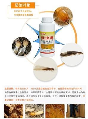 【家里有白蚁就用吡虫啉,家中灭白蚁价格 长沙县白蚁防治所推荐使用灭白蚁药产品】价格_厂家_图片 -