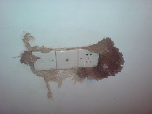 供应供应百荣园专业杀虫、广州帮帮白蚁防治、小区四害防治所、广州灭鼠公司_安全防护_世界工厂网中国产品信息库