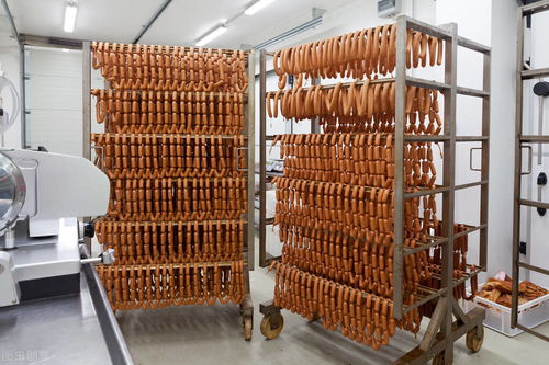 某食品厂的肉制品废水如何处理 稳定达标才是目的,改造成功