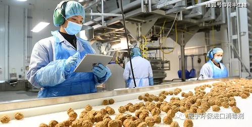 食品厂空气霉菌孢子污染与白蚁防治的综合消毒策略