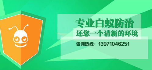 守护家庭健康，专业灭蟑除蚁——新科白蚁防治公司沌口服务指南