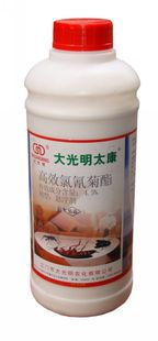 清远坚文白蚁防治 一次灭绝，永无后患的专业守护